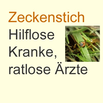 Zeckenstich – Hilflose Kranke, ratlose Ärzte
