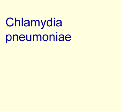 Chlamydia pneumoniae – Ein Erreger chronischer, extrapulmonaler Infektionen? Chlamydiensyndrom
